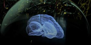 Neurowissenschaftliche Simulatoren der Zukunft: Wie ein neuer Ansatz die Forschung voranbringt