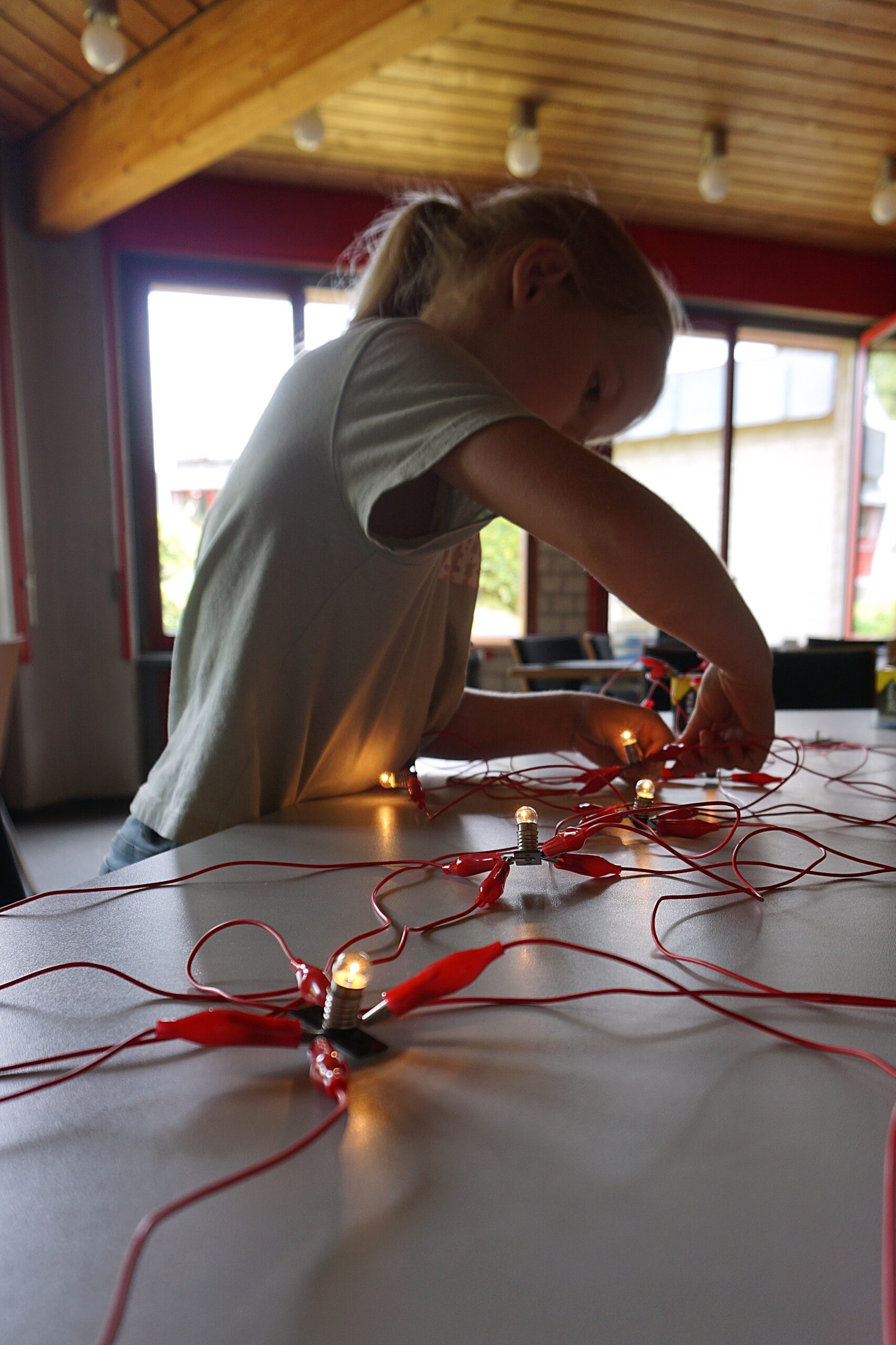 A young participant lights up several light bulbs connected in parallel