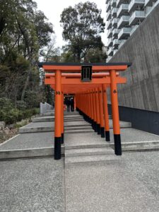 Torii Tunnel
