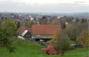 Solidarisches Saisongemüse