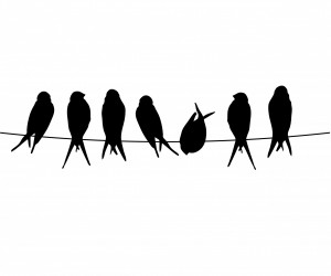 Vögel