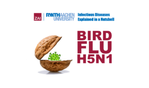 Avian Influenza – Current Global Situation and Risk Assessment in Germany (May 2023)